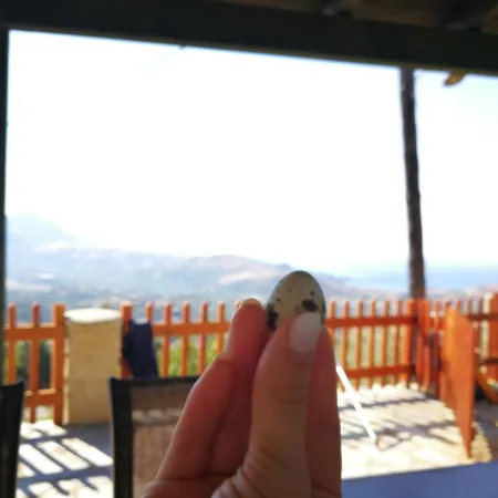 Arodamos Residence Mariou מראה חיצוני תמונה