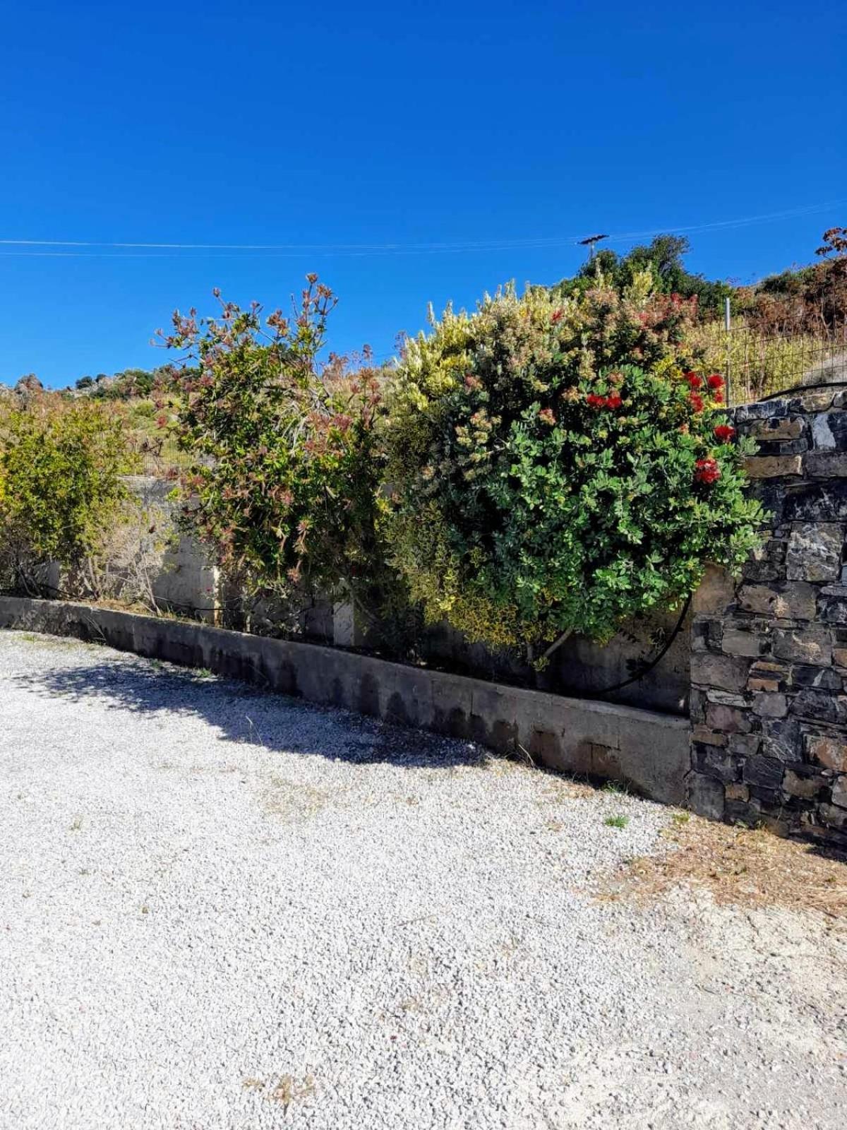 Holiday home Arodamos Mariou