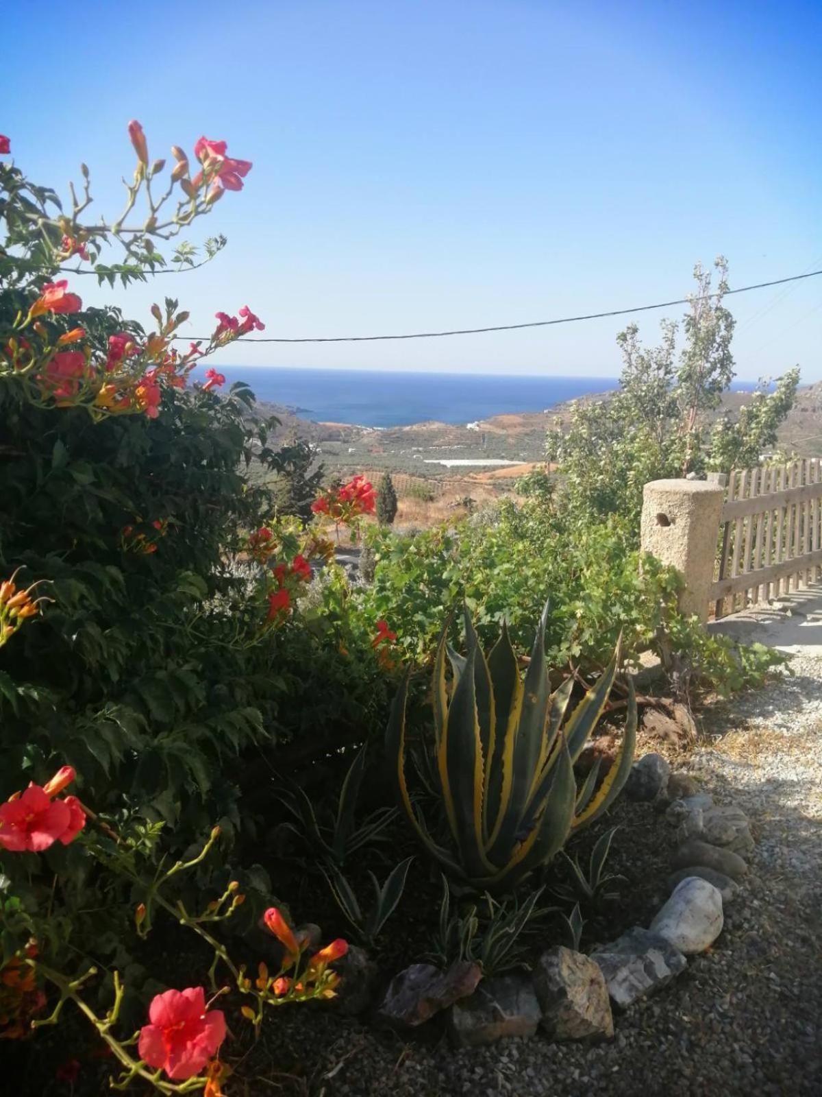 Tatil Evi Arodamos